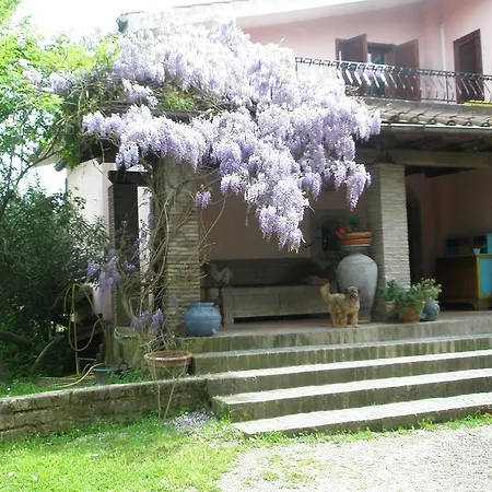 L'Oasi Di Aaron-3